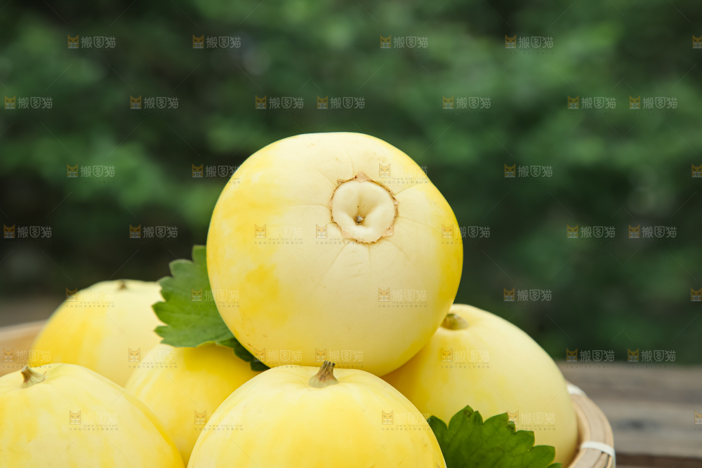 小蜜蜂甜瓜