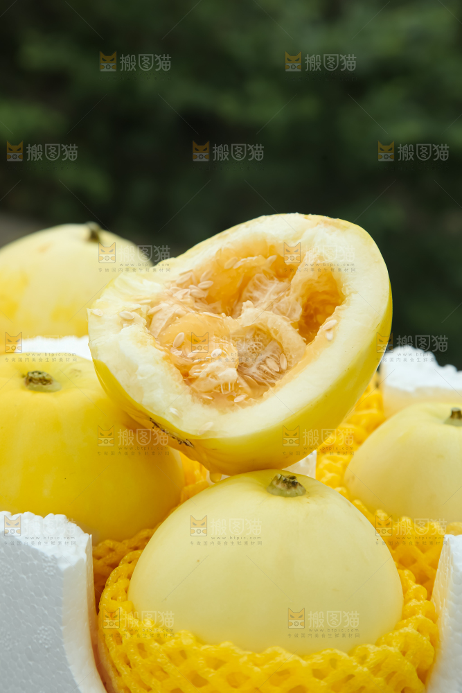 小蜜蜂甜瓜