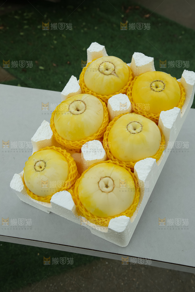 小蜜蜂甜瓜
