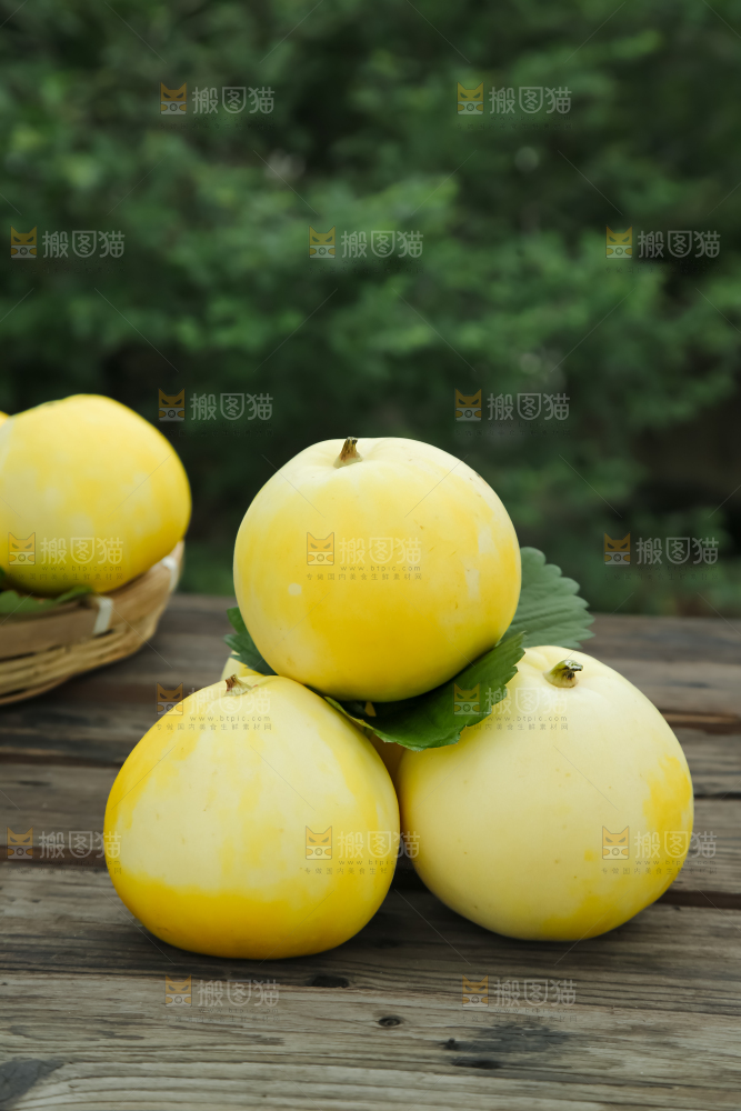 小蜜蜂甜瓜