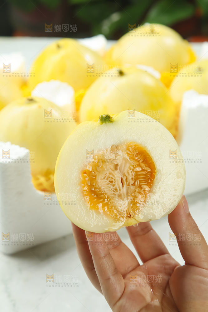 小蜜蜂甜瓜