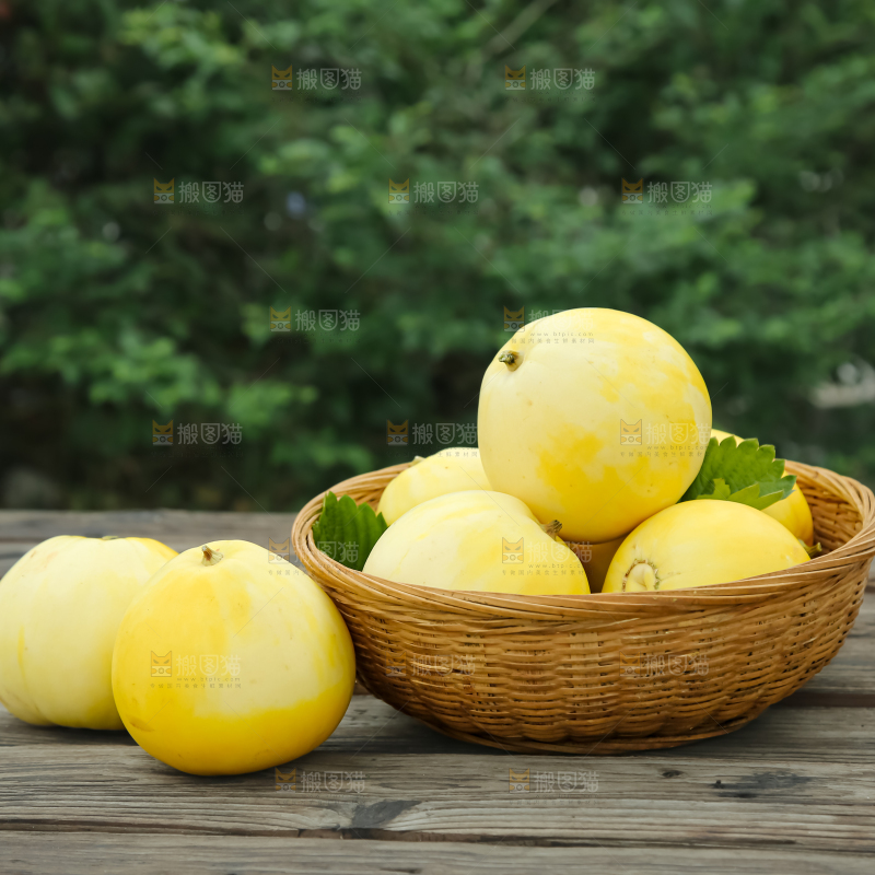 小蜜蜂甜瓜