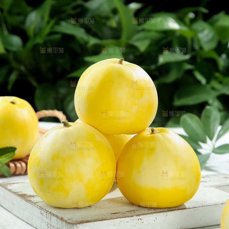小蜜蜂甜瓜