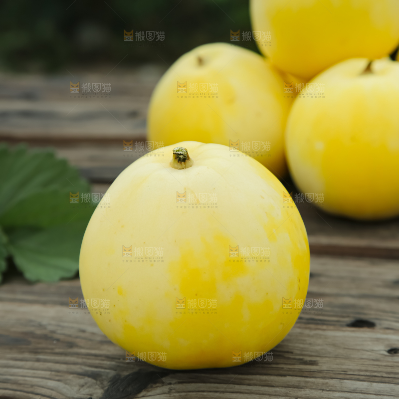 小蜜蜂甜瓜