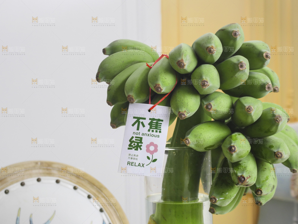 水培香蕉