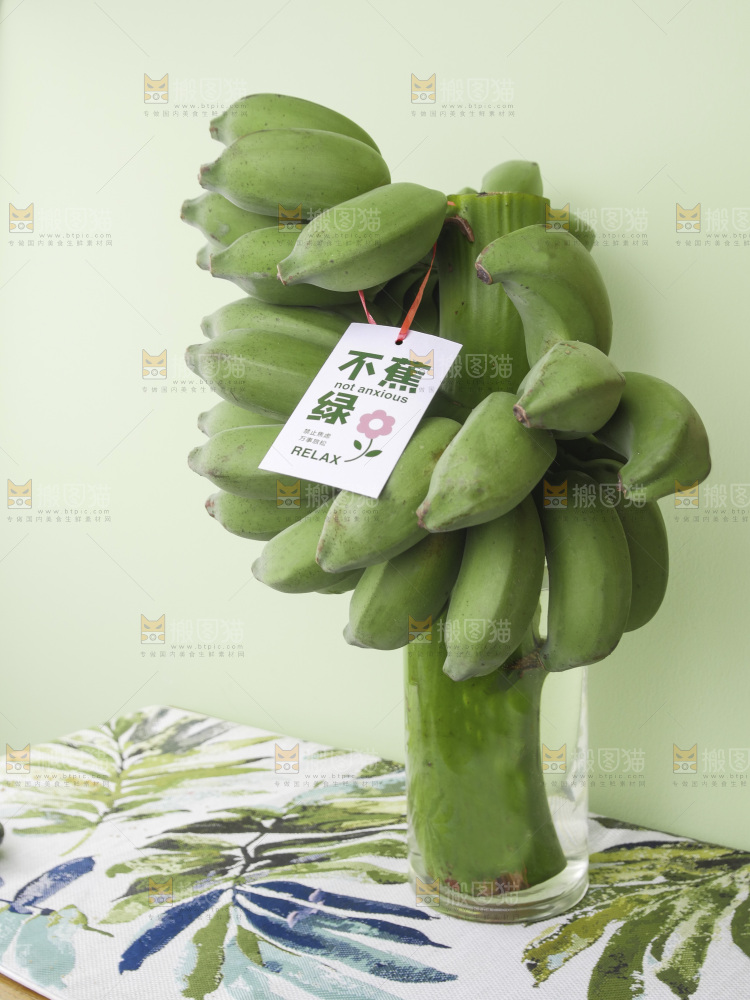 水培香蕉