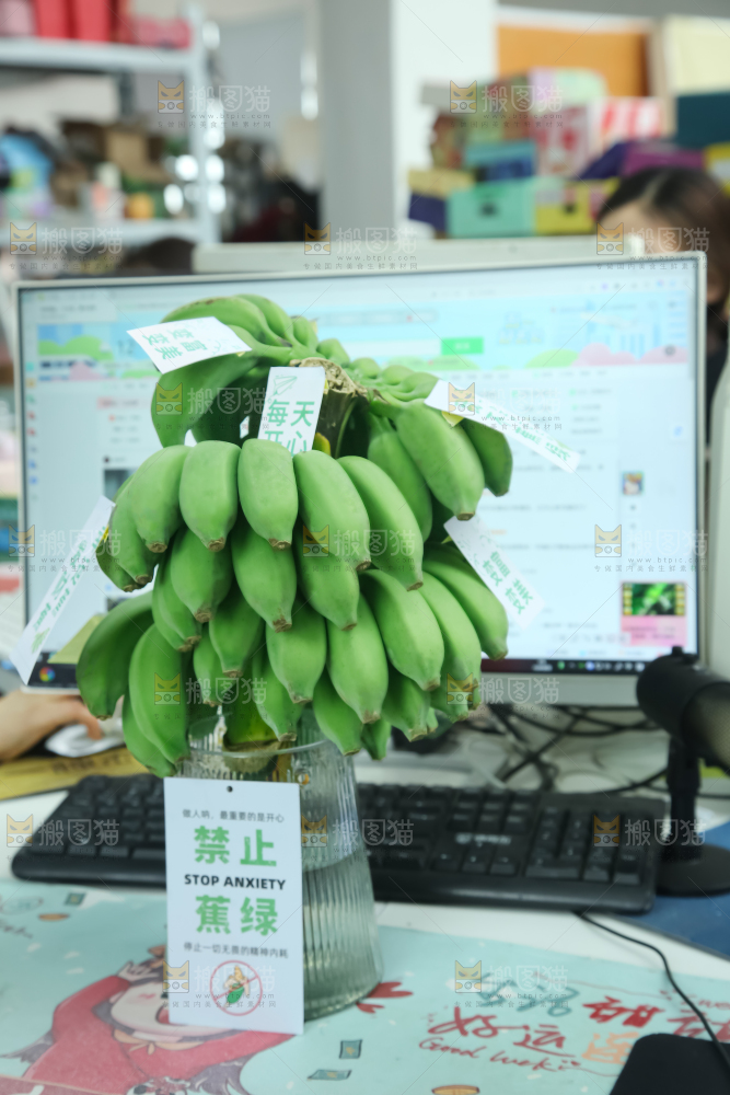 水培香蕉