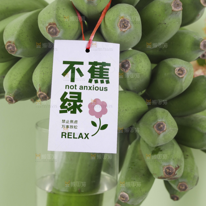 水培香蕉