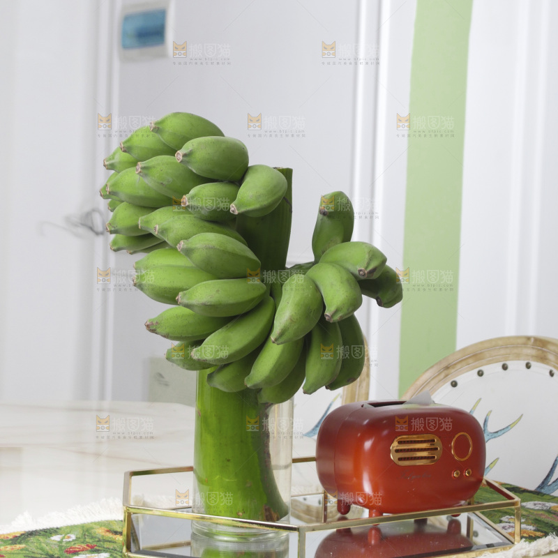 水培香蕉