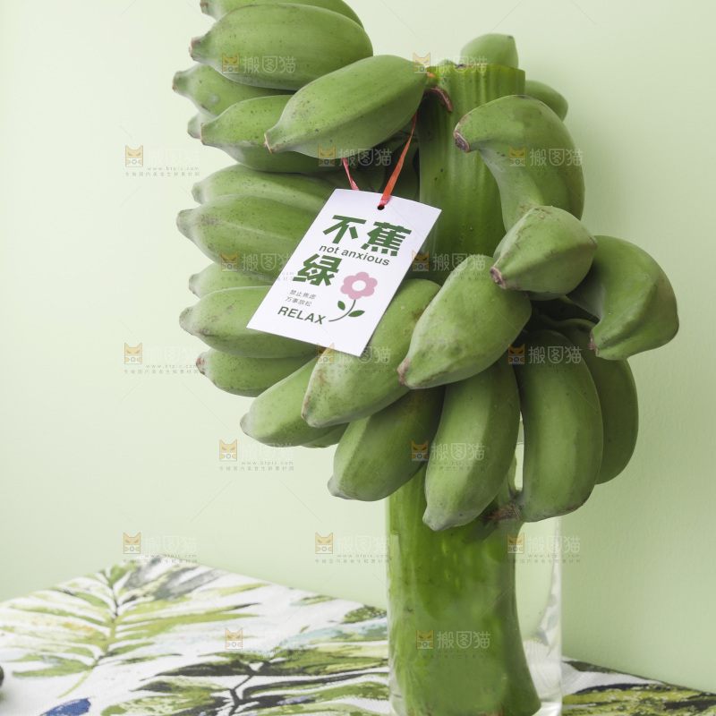 水培香蕉