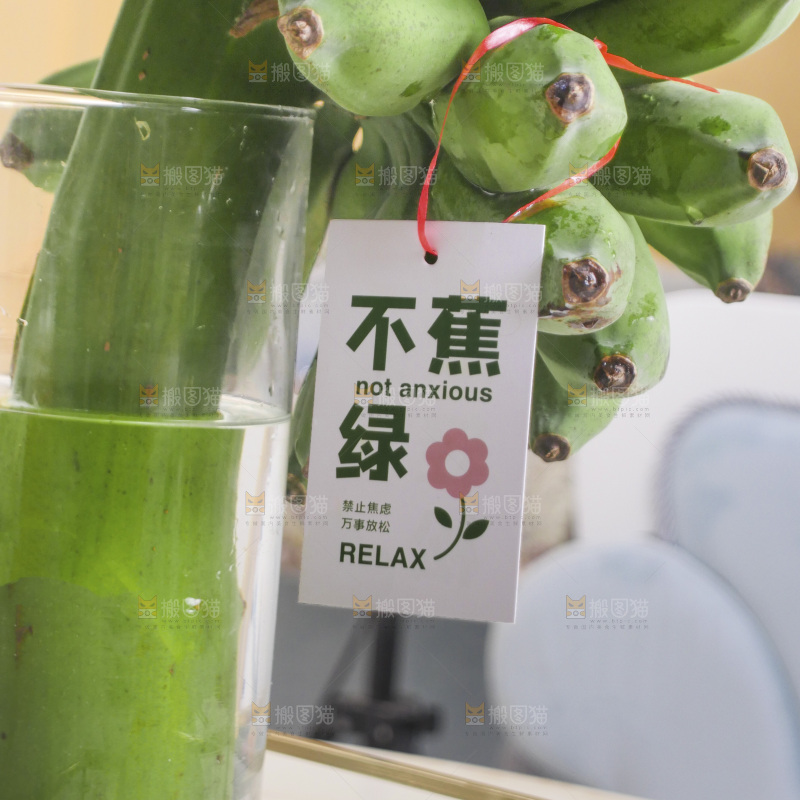 水培香蕉