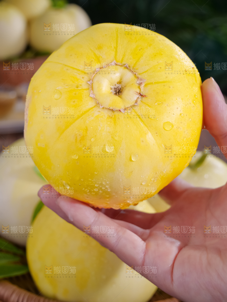 小蜜蜂甜瓜