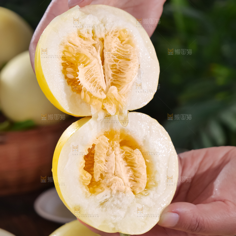 小蜜蜂甜瓜