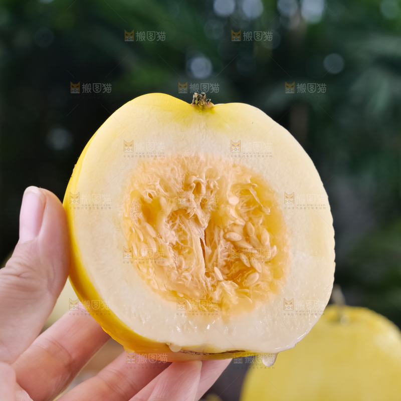 小蜜蜂甜瓜