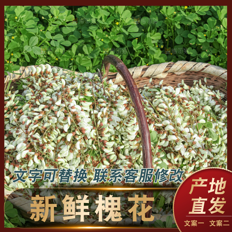 槐花