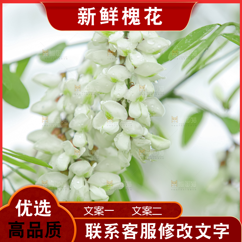槐花