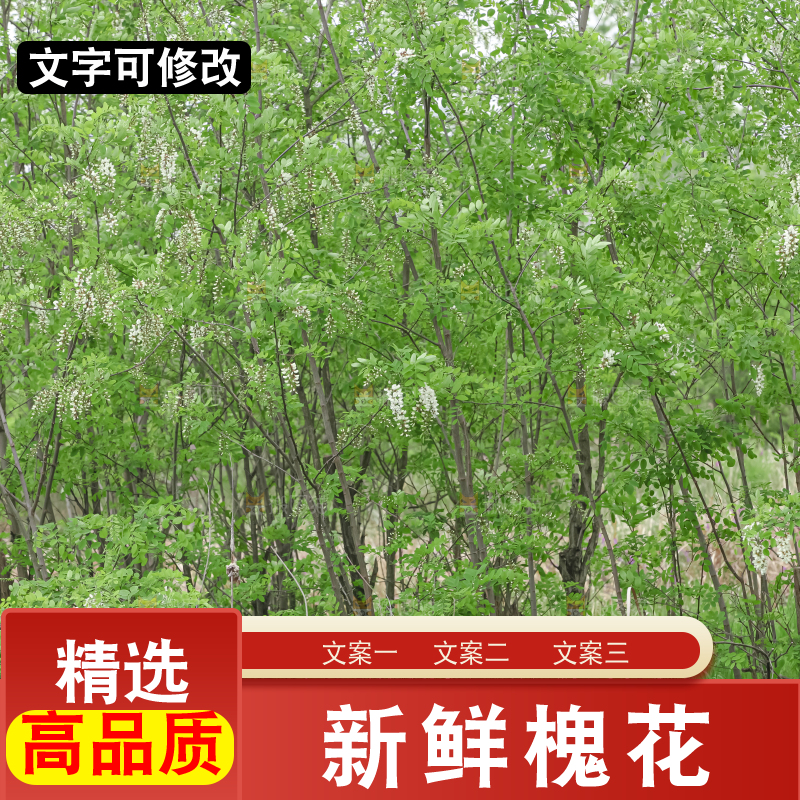 槐花