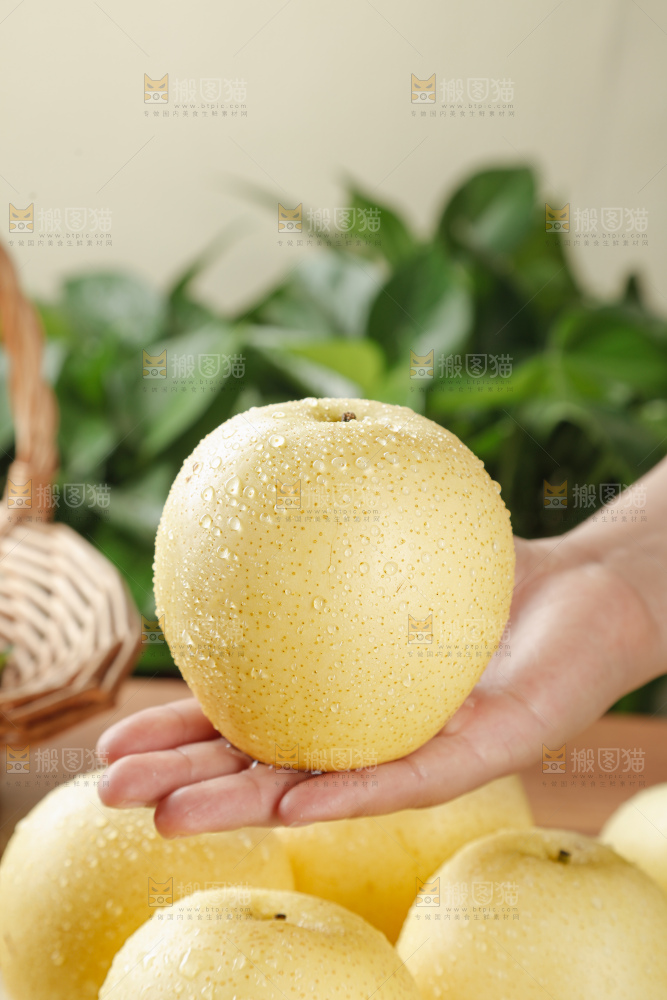 皇冠梨