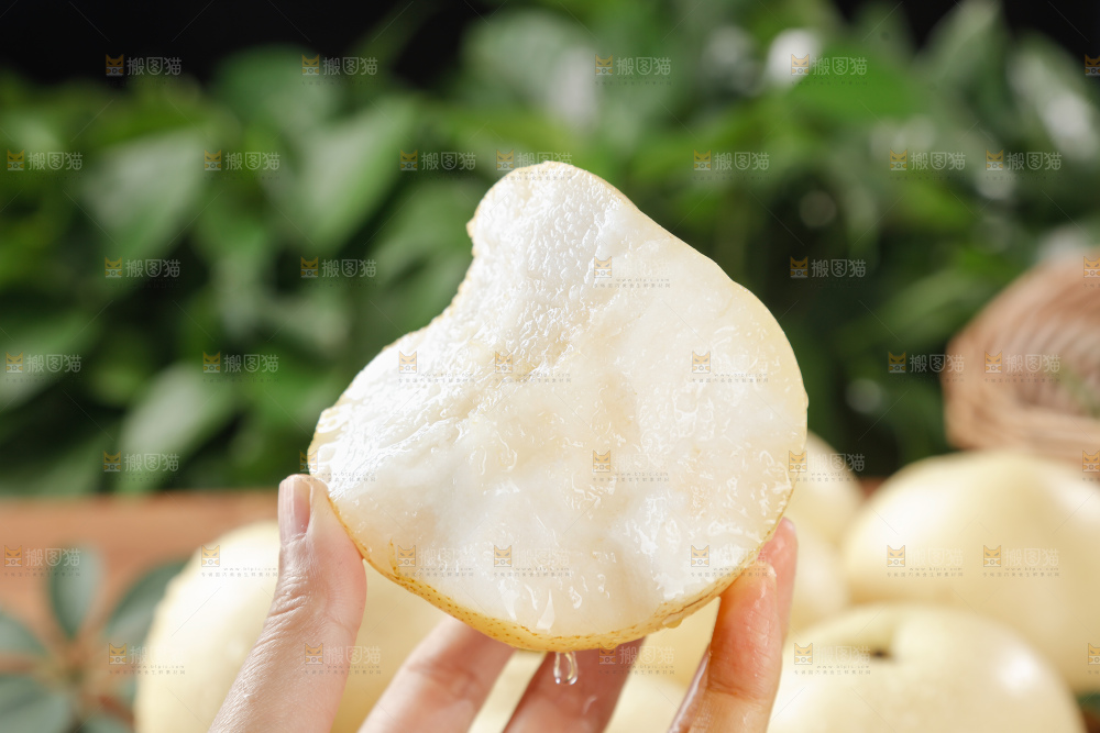 皇冠梨