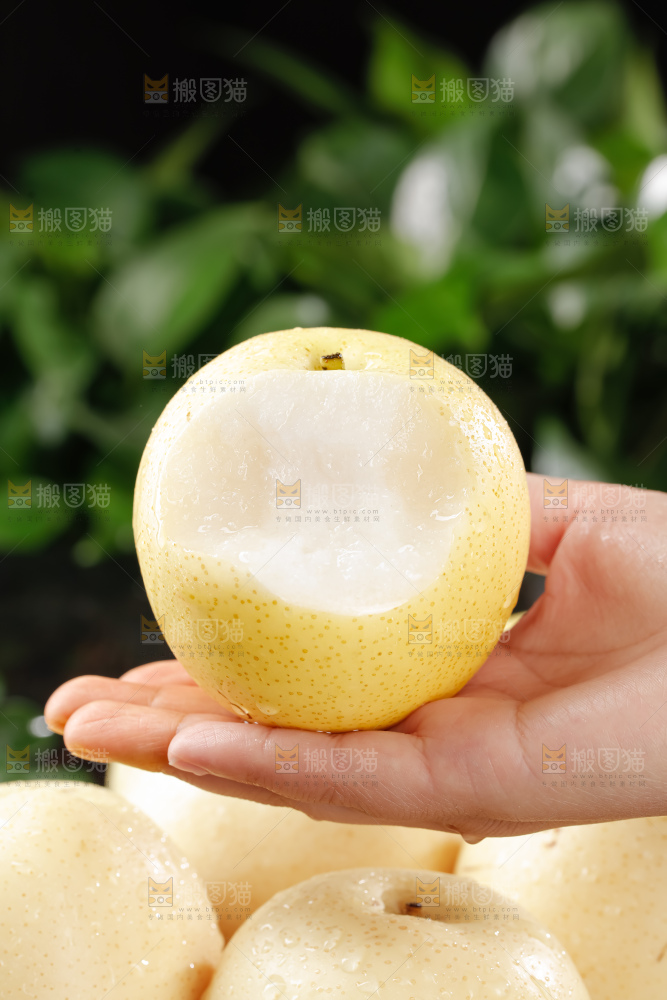 皇冠梨