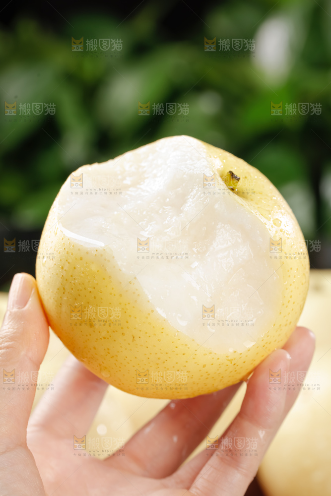 皇冠梨
