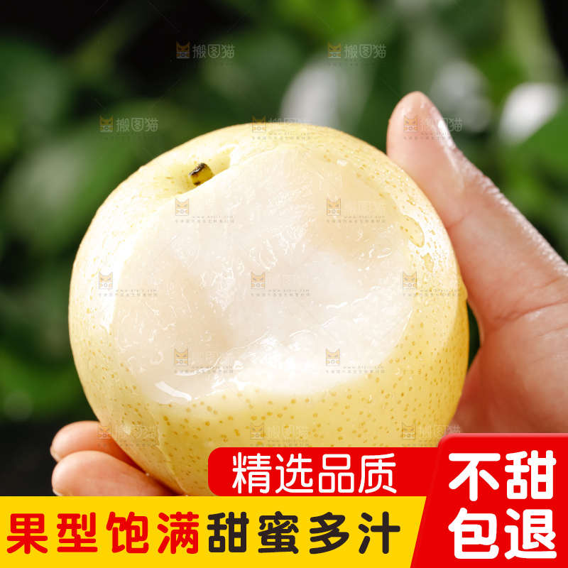 皇冠梨