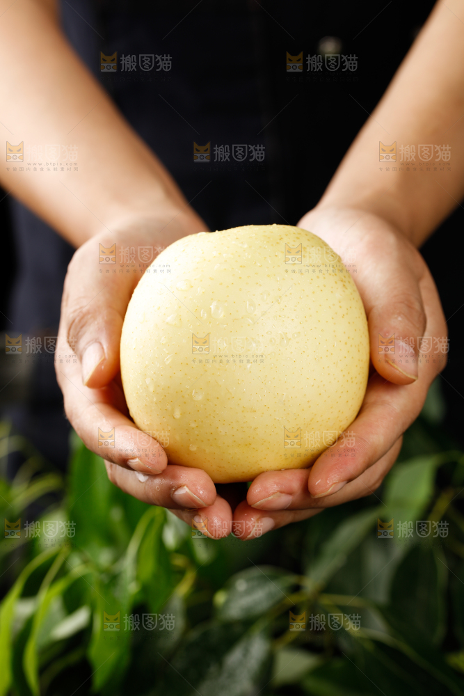 皇冠梨
