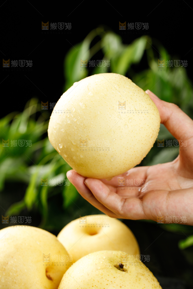 皇冠梨