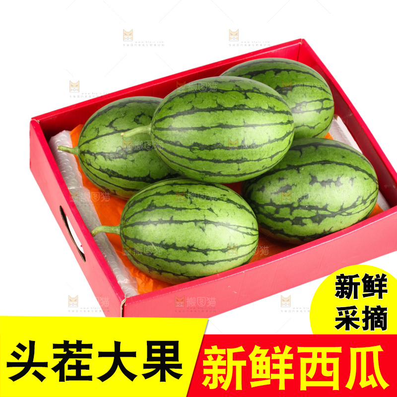 西瓜