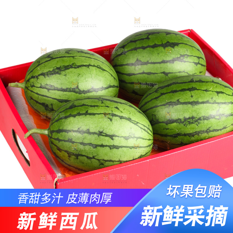西瓜