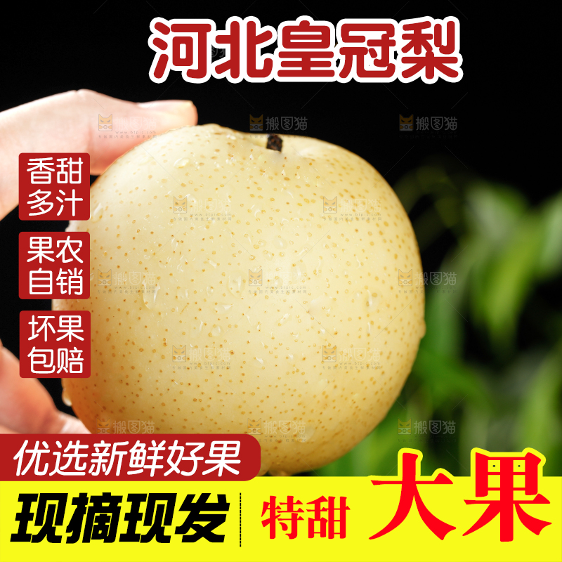 皇冠梨