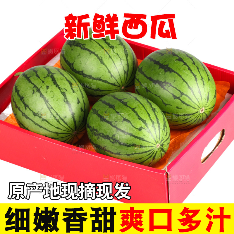 西瓜