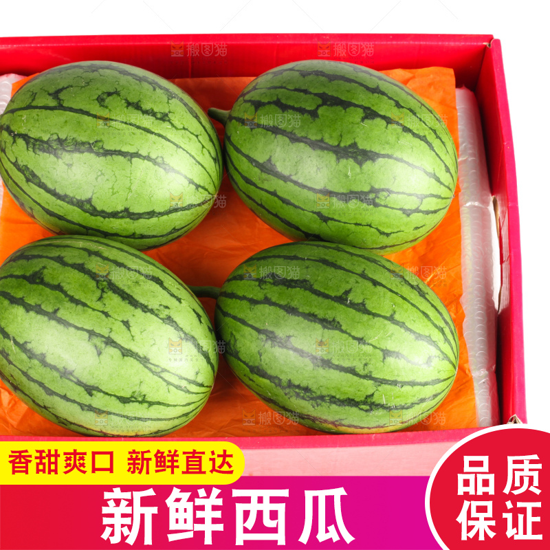 西瓜