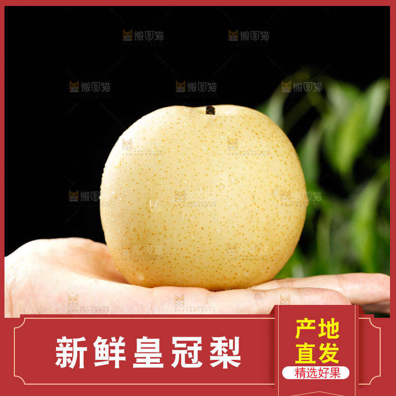 皇冠梨