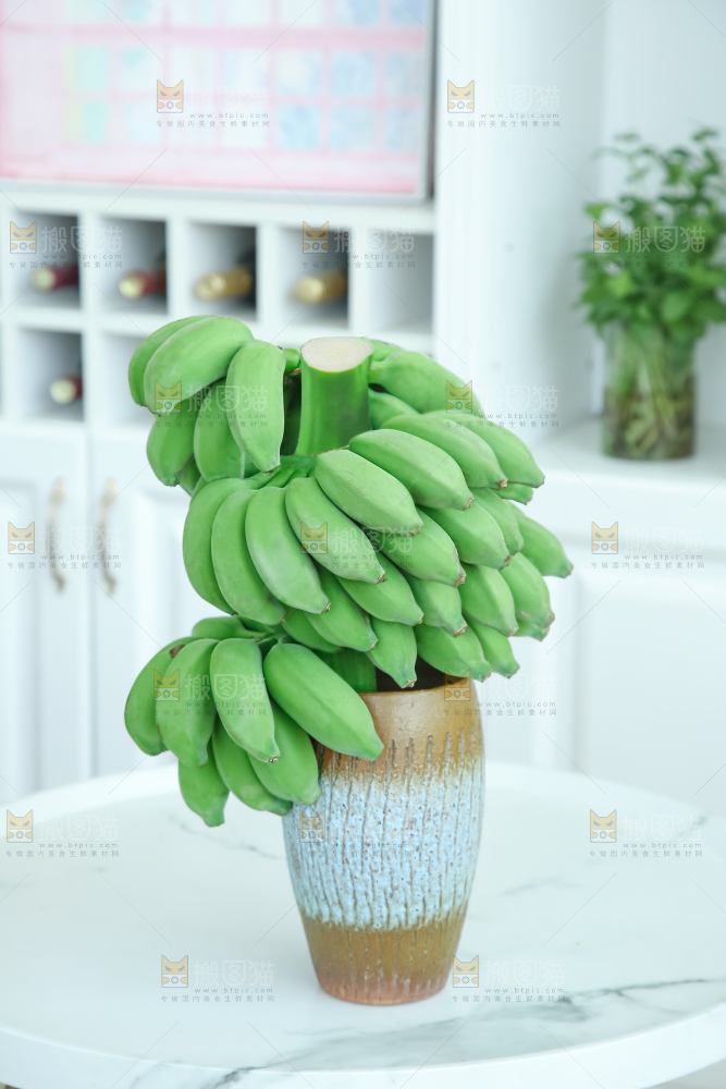 水培香蕉