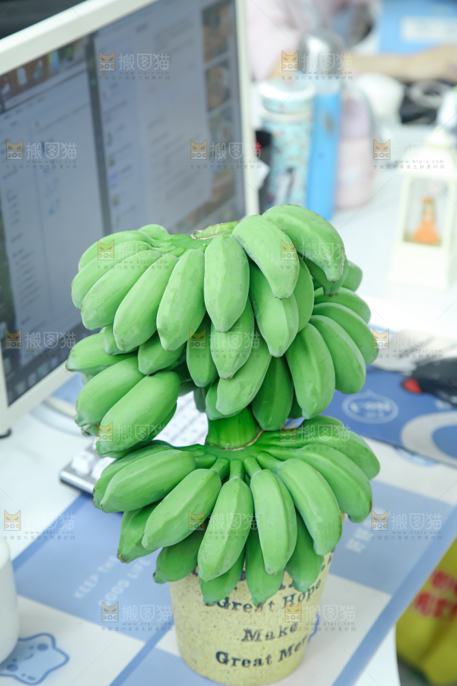 水培香蕉