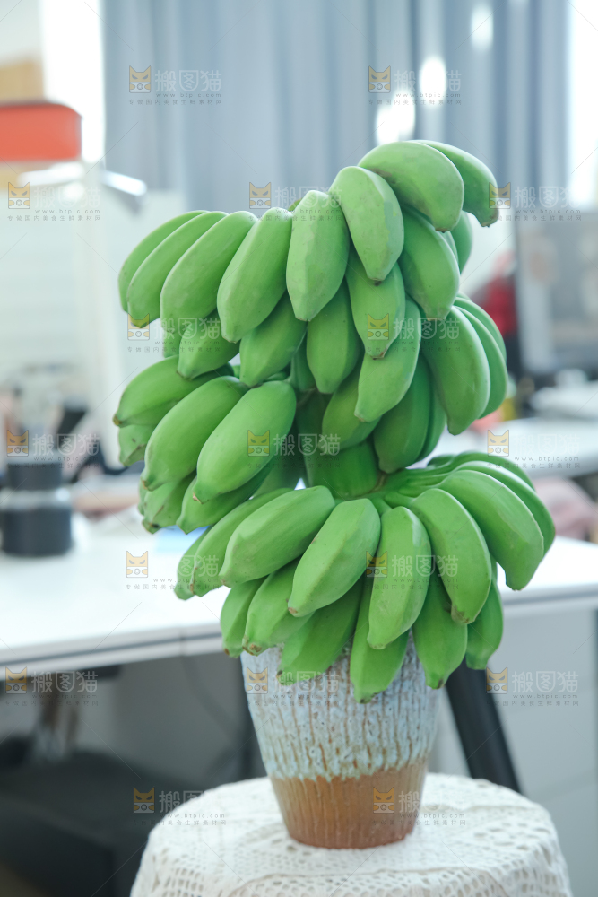 水培香蕉