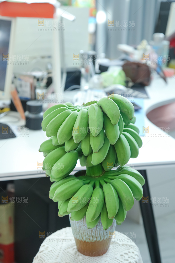 水培香蕉