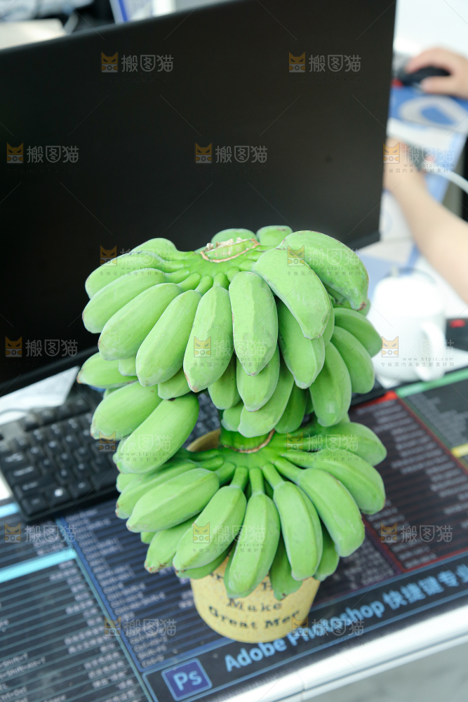 水培香蕉