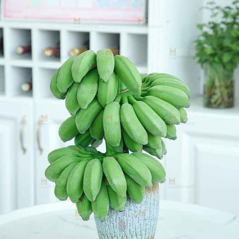 水培香蕉