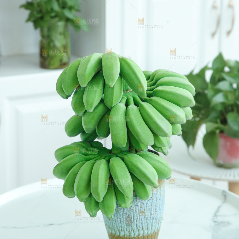 水培香蕉