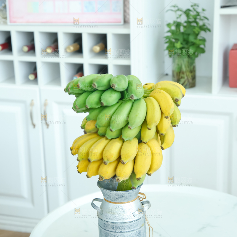 水培香蕉