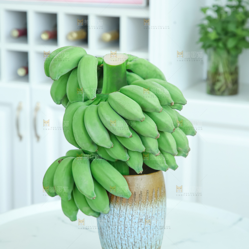 水培香蕉