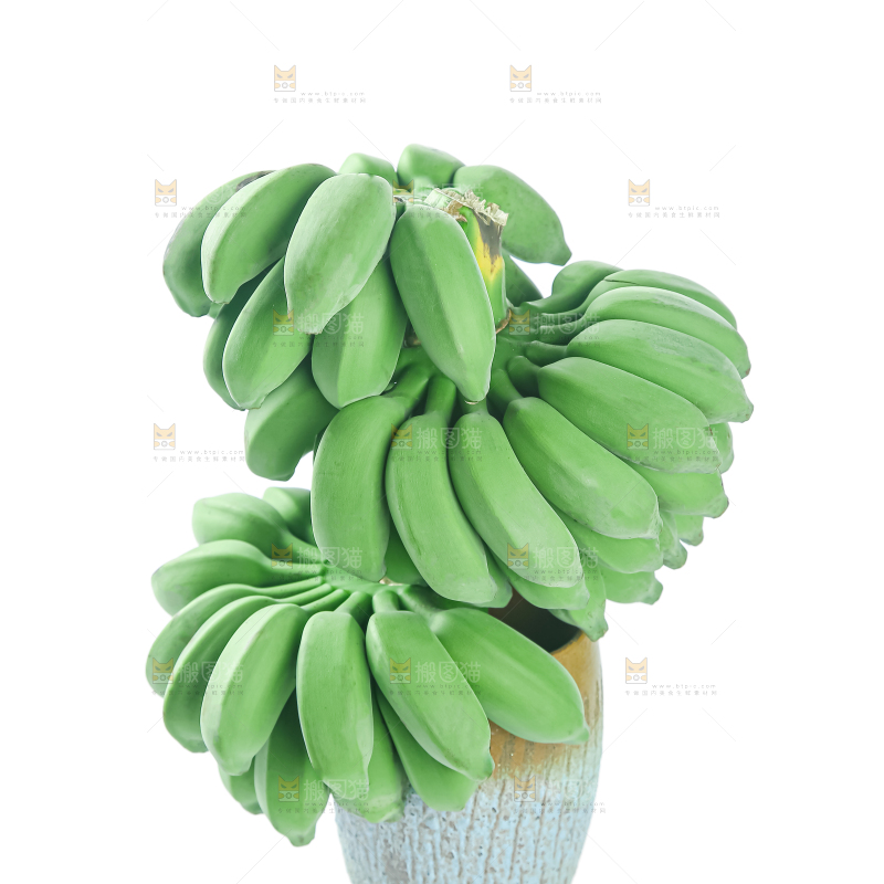 水培香蕉