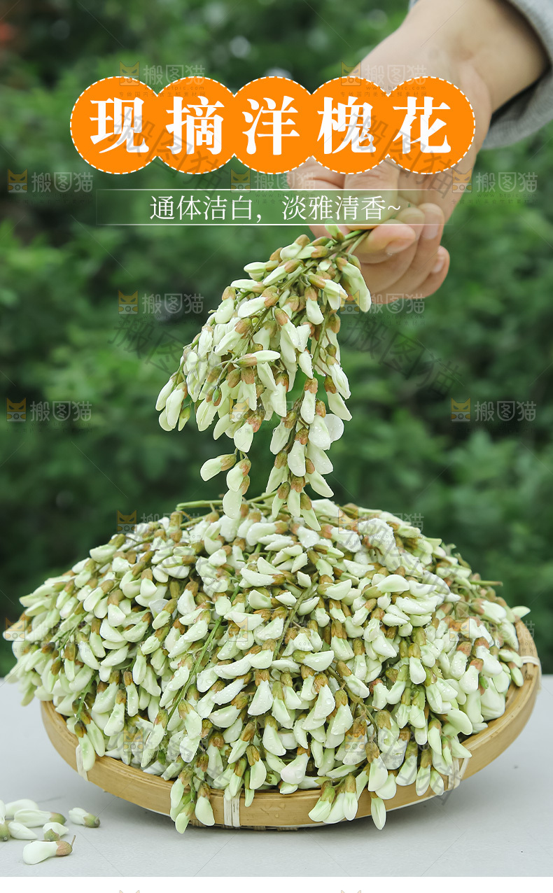 槐花详情页