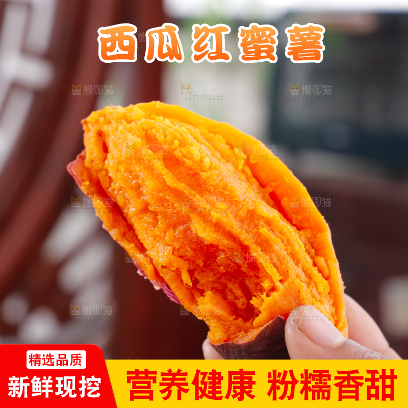 西瓜红蜜薯