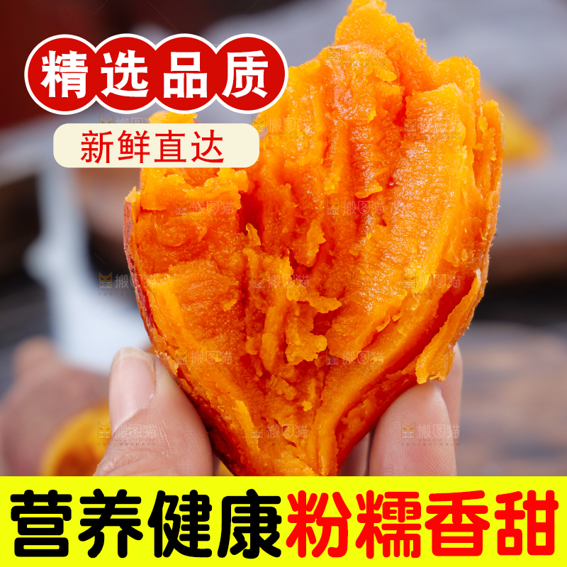 西瓜红蜜薯