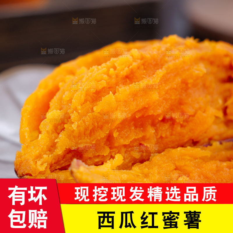 西瓜红蜜薯