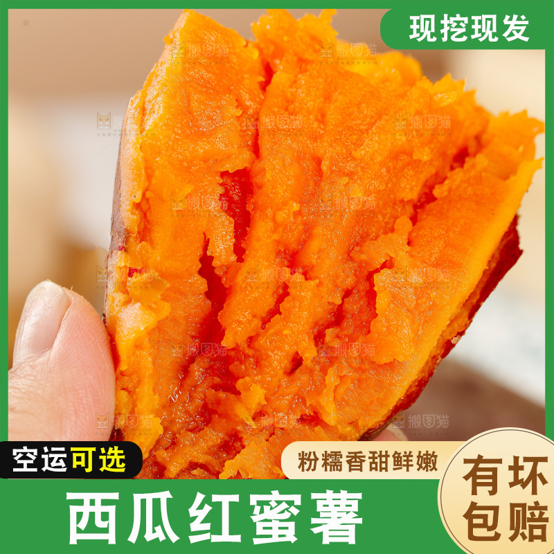 西瓜红蜜薯