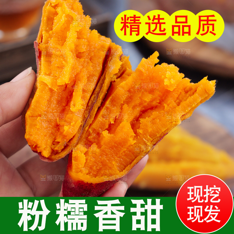 西瓜红蜜薯